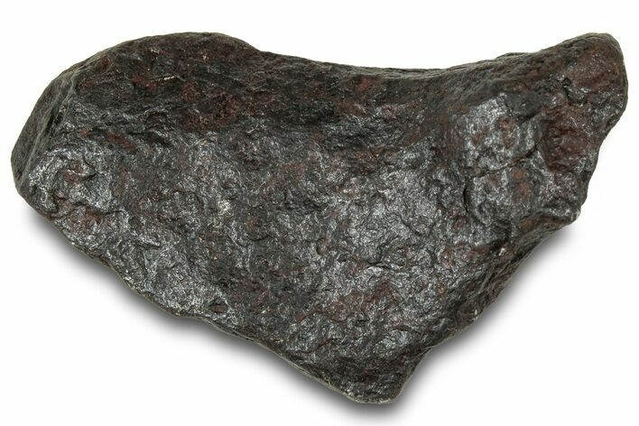 Canyon Diablo Iron Meteorite ( g) - Arizona #319557